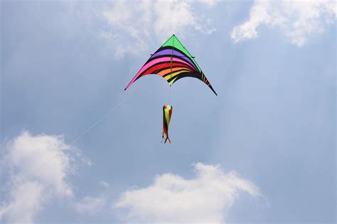 9ft Delta Kites Khk Exclusives Kitty Hawk Kites Online Store