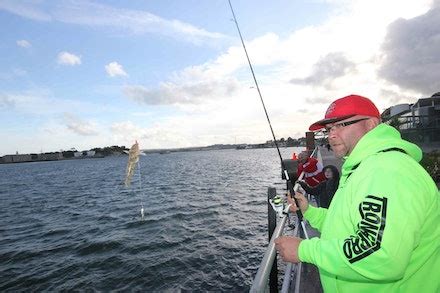 25 Awesome sea fishing tips | Angling Times