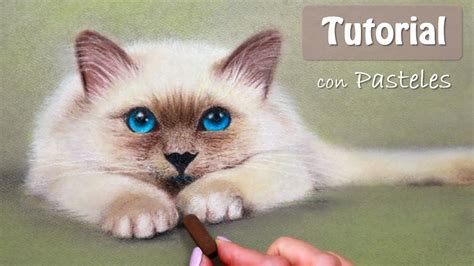 Cómo dibujar un gato con PASTELES SECOS YouTube