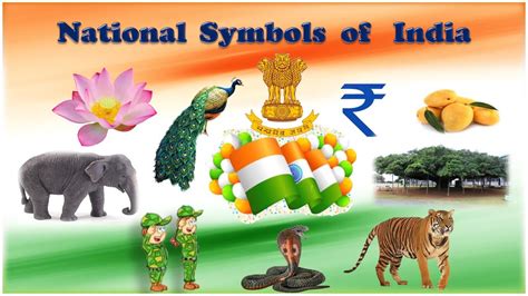 National Symbols Of India List