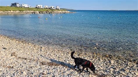 Meine Top 9 Campingplätze in Kroatien mit Hundestrand