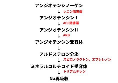 利尿薬CHAMPION BLOG for pharmacist