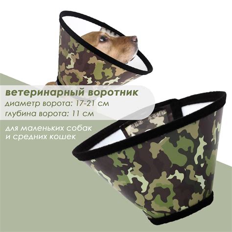 Воротник для собак, для кошек, ветеринарный воротник, для животных ...