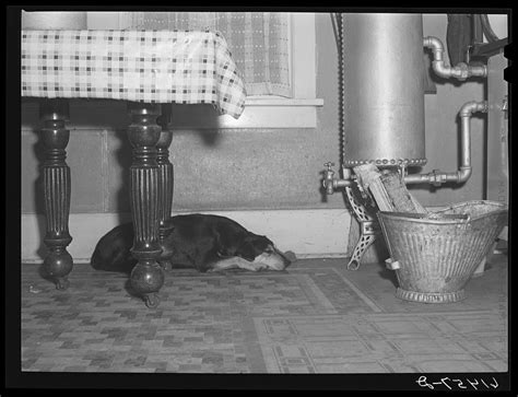 Dogs Under A Table Images Free Photos Png Stickers Wallpapers