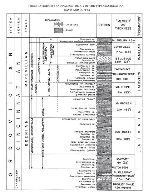 The Ordovician — Lask Fossil Collection