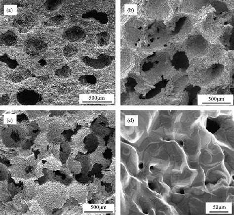 Macro Pores Of Titanium Scaffold With Porosity Of A B