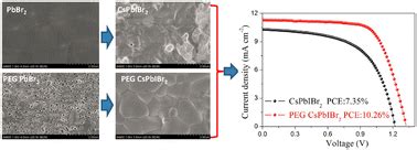 Polymer Additive Promoted Porous PbBr2 Layer For Fabricating High