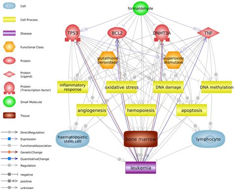 Formaldehyde Exposure And Leukemia Risk A Comprehensive Review And