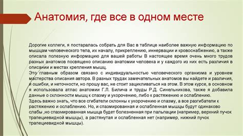 Анатомия для массажистов - презентация онлайн