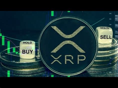 Xrp Ripple Update Youtube