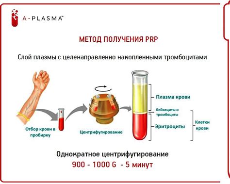 Пробирки для PRP терапии (Platelet Rich Plasma) процедуры ...