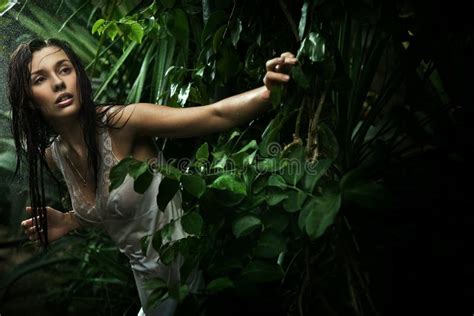 Jeune Beauté Sexy De Brunette Dans Une Forêt Tropicale Image stock