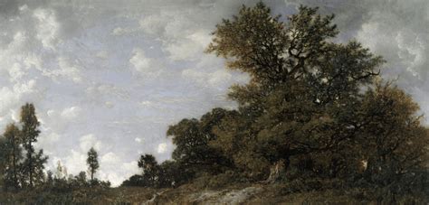 french forest collection prints