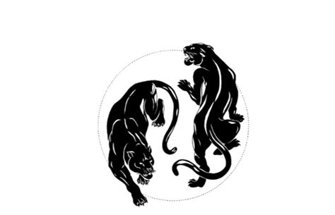 Balanced panther – Artofit