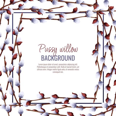 Premium Vector Spring Background With Pussy Willow Branches Postcard Banner For Easter Spring