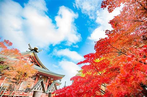 【関東】秋に行きたい絶景スポットおすすめ21選！紅葉が美しい渓谷やススキ高原など＜2020＞ ｜じゃらんニュース