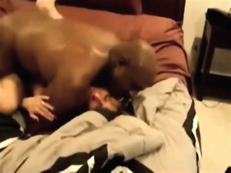 A Mature Amateur Woman Has Passionate Sex With A Black Man