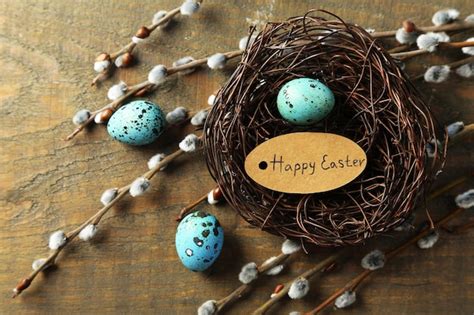 Premium Photo Bird Eggs In Nest And Pussy Willow Flowers Branches On Wooden Background