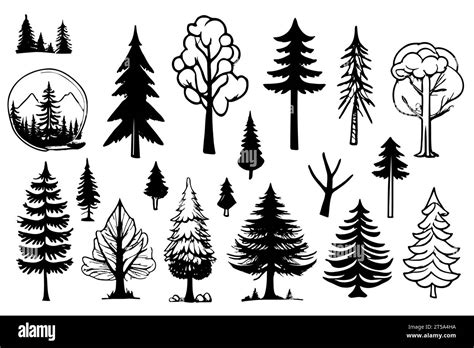 Tree Sketches Set Different Types Hand Drawn Vector Illustration