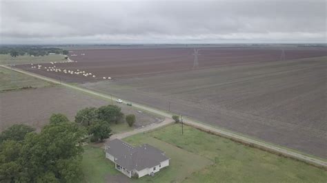 Texas Farm Threatened By Dallas To Houston Bullet Train Kiiitv