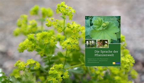 Die Sprache der Pflanzenwelt ... - Forum Naturheilkunde