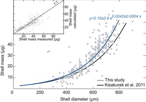 Relation Between Shell Size Diameter And Weight Of Globigerinella