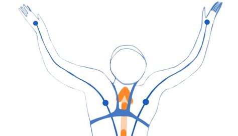 The importance of holistic picture in coaching swimming