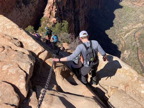 Are Dogs Allowed In Angels Park Zion National Park