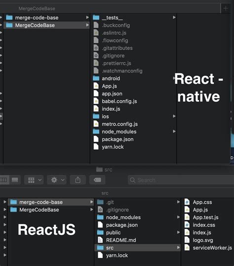 How To Create New Reactjs And React Native Project And Organise The