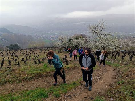 Éxito de participación en la Ruta por la Calidad de la Cereza Consejo