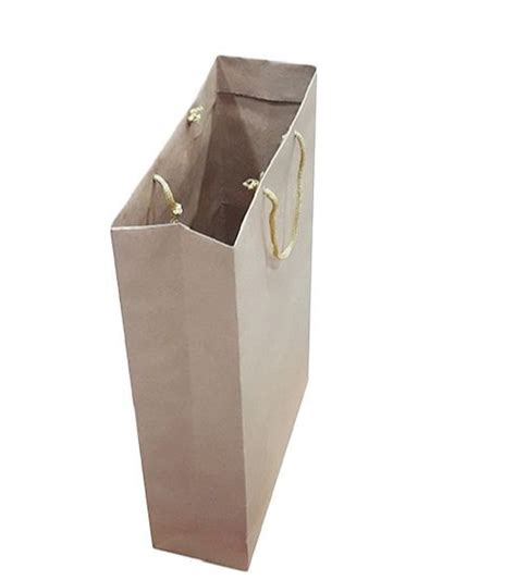 Brown Plain Rope Handled Paper Bag For Shopping Capacity 1 2 Kg At Rs