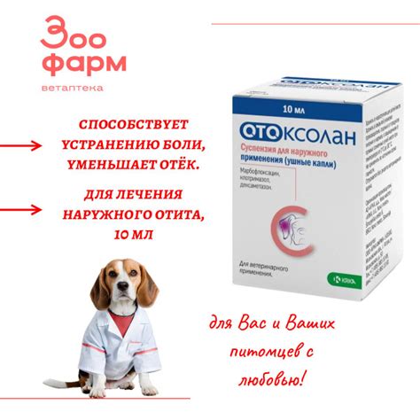 Отоксолан, 10 мл - купить с доставкой по выгодным ценам в интернет ...