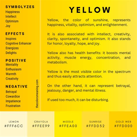 Rose Color Meaning: Symbolism and Uses Explained - Hunter Games Magazine