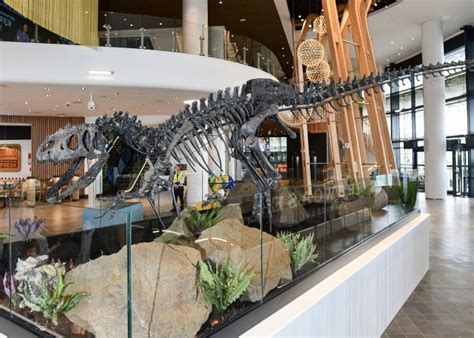 2026年 Big Sara 出発前に知っておくべきことすべて
