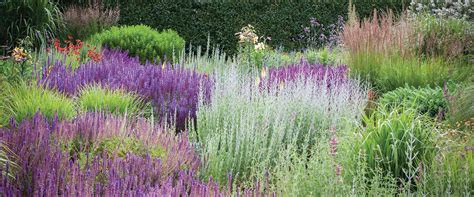 Botanical Guide Celebrity Gardener Simon Rickard On Cool Climate Gardens