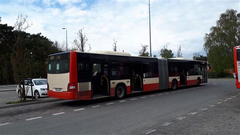 PKS Gdańsk MAN NG313 Lion s City G 9271 linia T8 kierunek Stogi