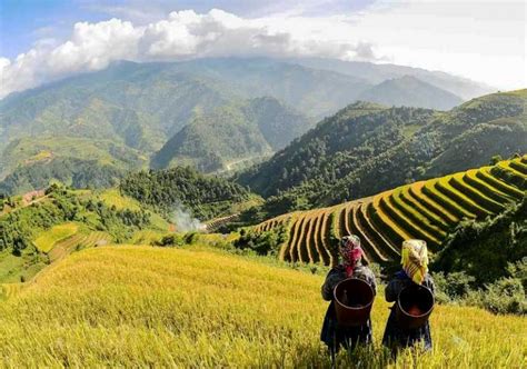 When Is The Best Time To Visit Sapa Sapa Homestay