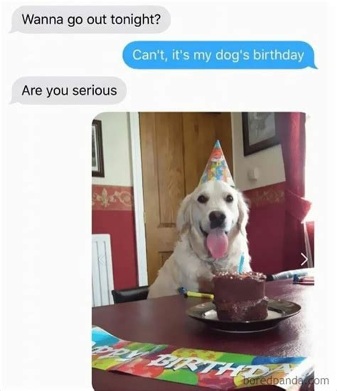 This Facebook Page Is All About Relatable Dog Memes, Here Are 50 Of The