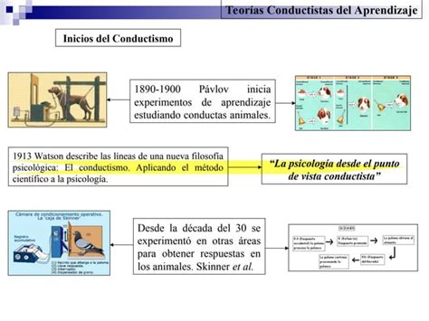 Conductismo Ppt Corrientes Contemporaneas En La Psicologia Ppt