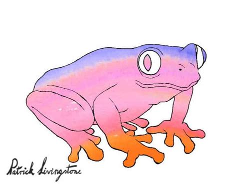 How To Draw Amphibians Step By Step Easy Animals 2 Draw