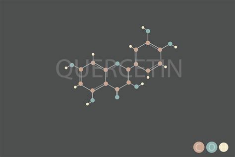 quercetin molecular skeletal chemical formula 42648520 Vector Art at ...