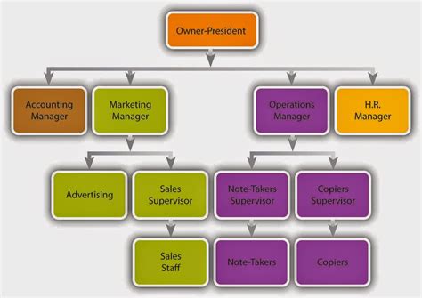 Mcdonalds Diagram To Describe The Company S Organizational S