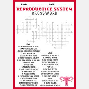 HUMAN REPRODUCTIVE SYSTEM Crossword Puzzle Worksheet Activity TPT