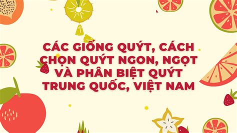 cac giong quyt cach chon quyt ngon ngot va phan biet quyt trung quoc
