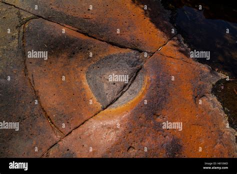 Lichen Covered Rocks Australia Stock Photo Alamy