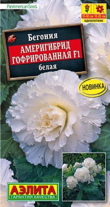 Бегония Америгибрид гофрированная F1 белая (5 семян) - семена Аэлита ...