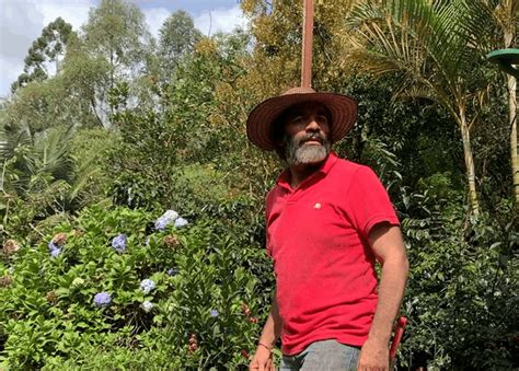 Perro Negro Retina Latina