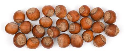 Hazelnut Heap Top View Isolated On White Background Pile Of Hazelnuts