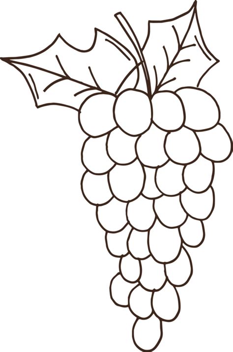 simple grapes outline