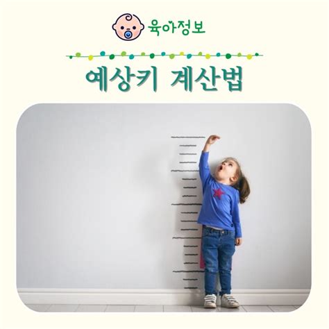 우리아이 예상키계산기 계산법 키크는 방법